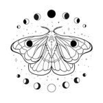 Moth Hive.