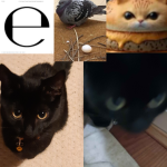 kitty Iovers