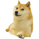 WoDoge Squad
