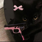 Ｍｅｏｗｆｉａ
