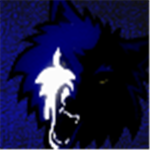 Minnesota Timber Wolves