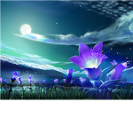 The Moonlight Academy