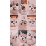 Zoe_726