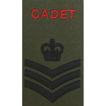 Survive Colour Rogers in Area 51!!!!