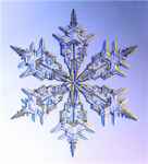 Ice Warriors!