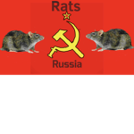 Rats Russia