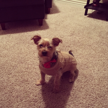 Noobies guide to obbies, and everything you need t