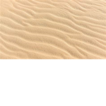 Sandy's games