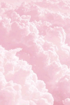 —-+PINK CLOUDZ+—-