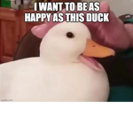 Don’t ask me bro