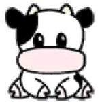 Cows Shopping
