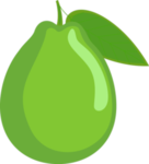 Guava Game Developers