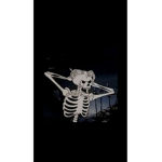 Overlord_armyy Official~