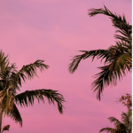 ~chasy~