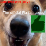 Pla's game crew