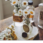 reagans daisys