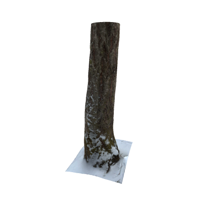 Snowy Tree Trunk