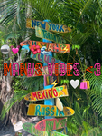 Manu vibes<3