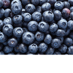 Join blueberry squad plz