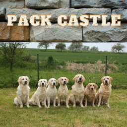 Pack Castle