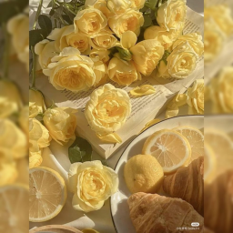 ʚ🍰 ɞ