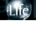 the life goup