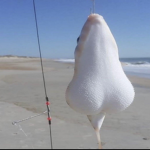 puffer balls