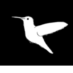 Hummingbird Tech