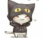 team cat black :3