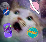 TEAM NASA!