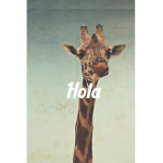 giraffe mijo's