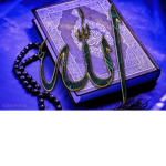 Mariner habibi