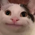 F4ntan United