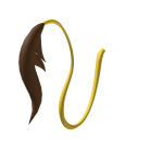 francis tail
