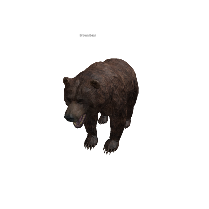 Animals