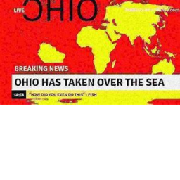 (NEW) OHIO sim