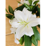 flowers forever and ever