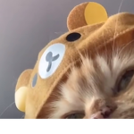 Caramel bears