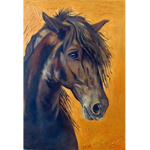 Flying Rein Horse Academy