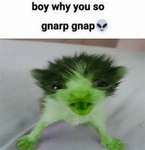roblox is best)