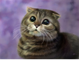CAT OBBY
