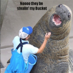 Bucker Thiefs
