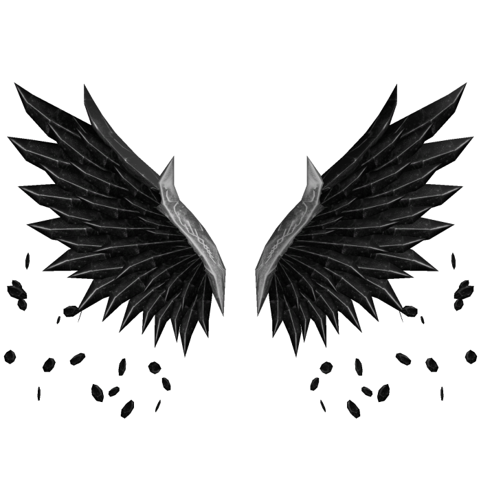 Black and Silver Wings