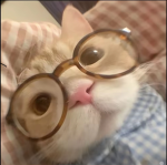 CottonxFluff