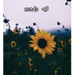 mads clothing store <3