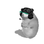 emceptional chomik