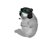 emceptional chomik