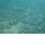 Sea Group :) ;)