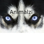 Animalzi