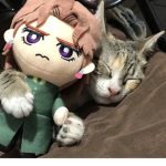 tokither